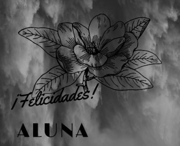 Blog aluna